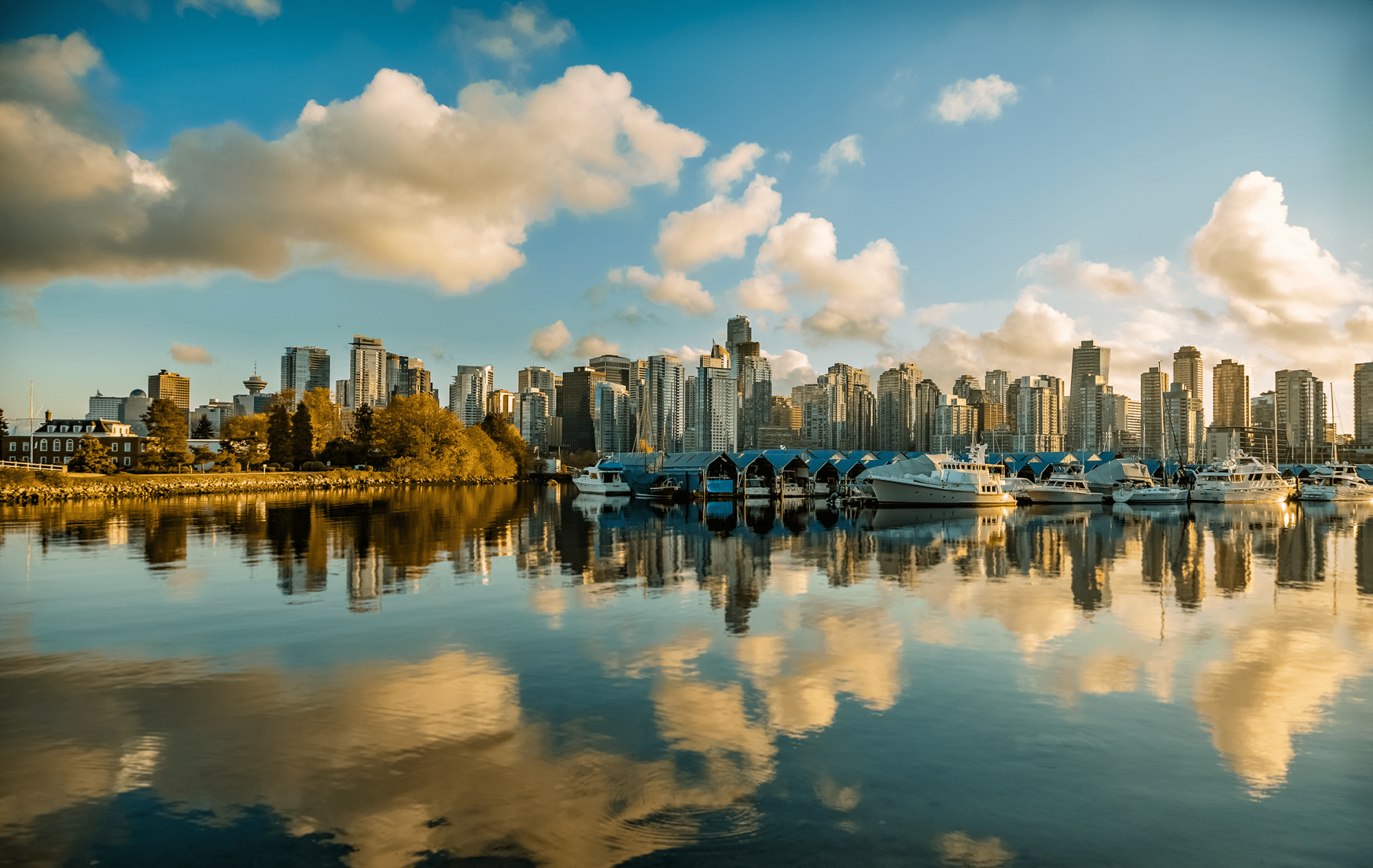 Sales and Listing Report for January 2021