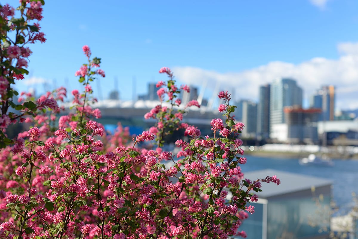 Sales and Listing Report for April 2021