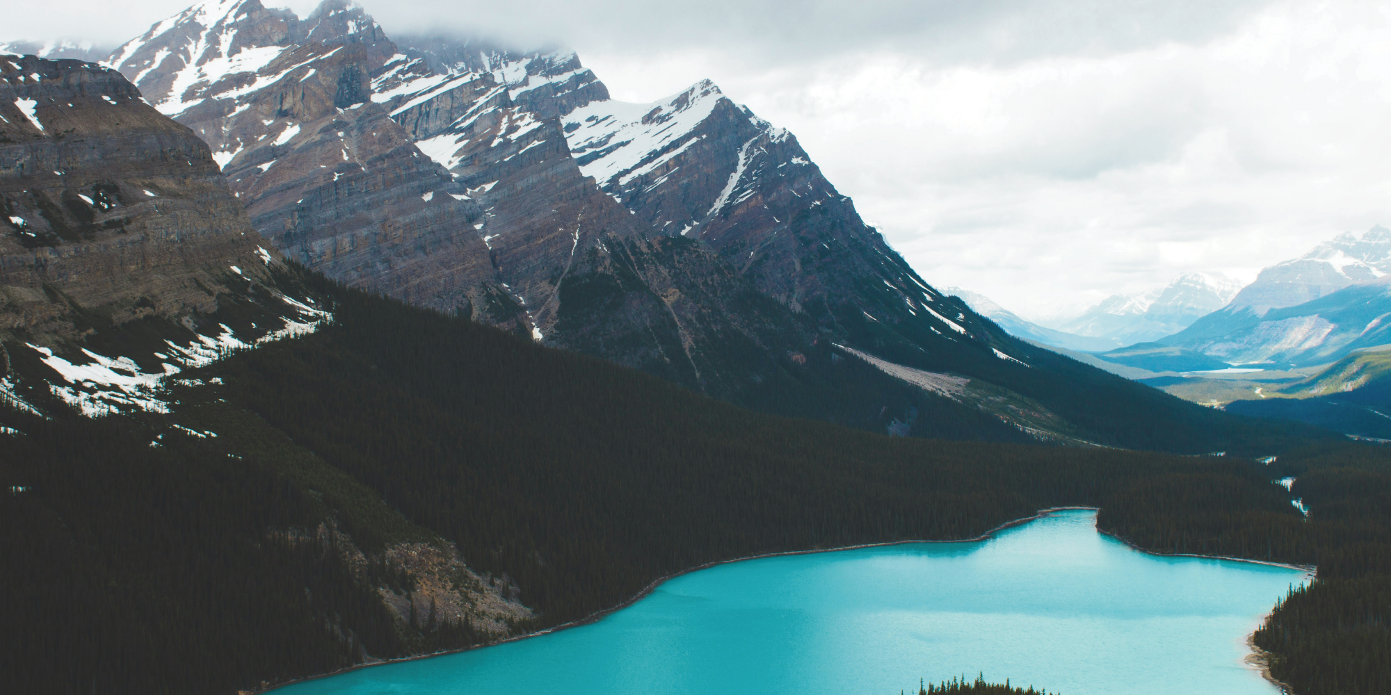 A Sign of What Is to Come in 2025?