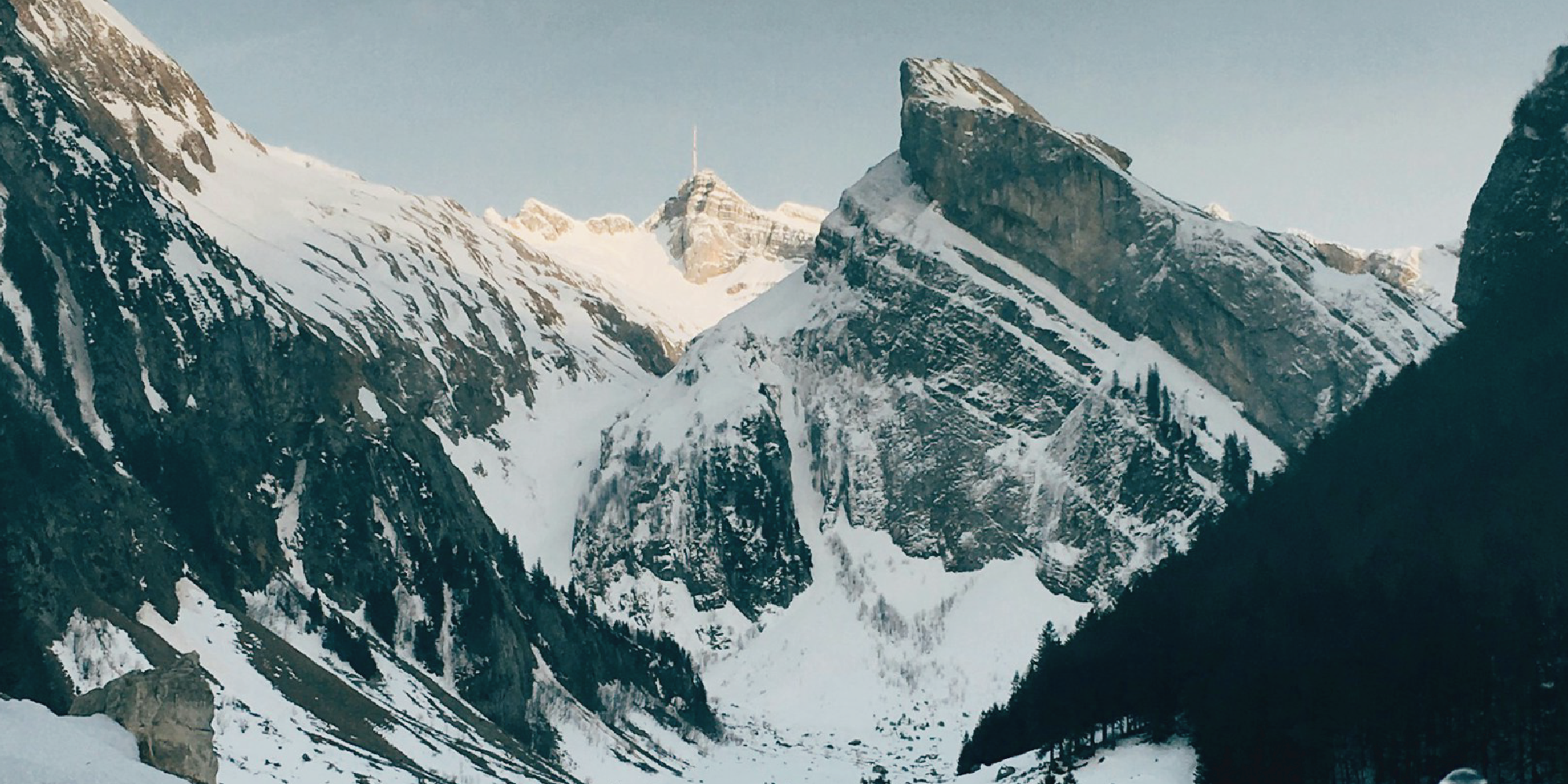 A Boost in Sales to Start the Year.